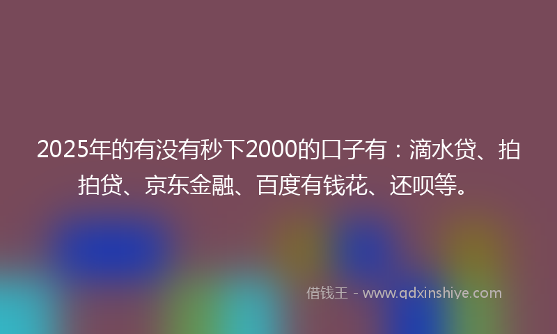 2025年的有没有秒下2000的口子有：滴水贷、拍拍贷、京东金融、百度有钱花、还呗等。