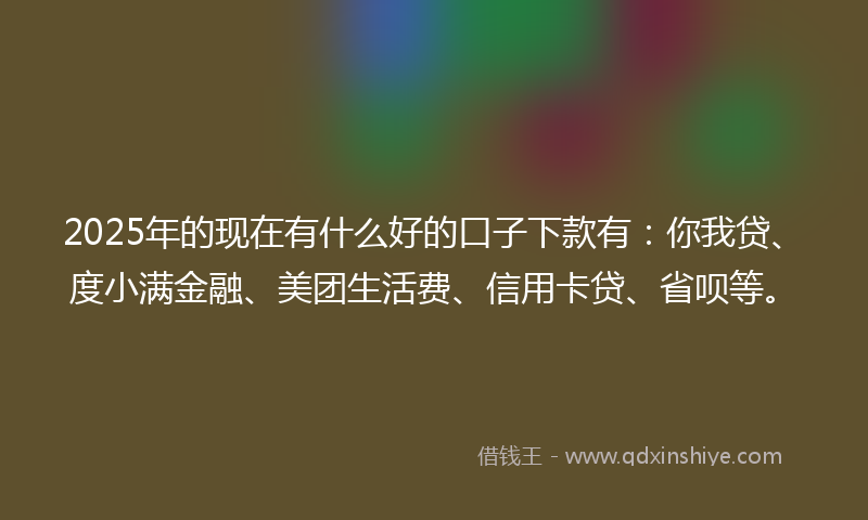2025年的现在有什么好的口子下款有：你我贷、度小满金融、美团生活费、信用卡贷、省呗等。