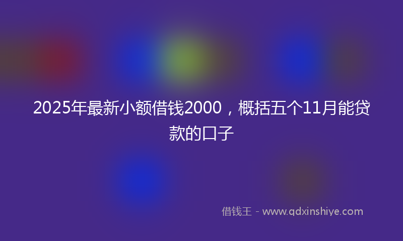 2025年最新小额借钱2000，概括五个11月能贷款的口子