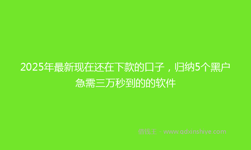 2025年最新现在还在下款的口子，归纳5个黑户急需三万秒到的的软件