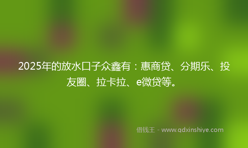 2025年的放水口子众鑫有：惠商贷、分期乐、投友圈、拉卡拉、e微贷等。