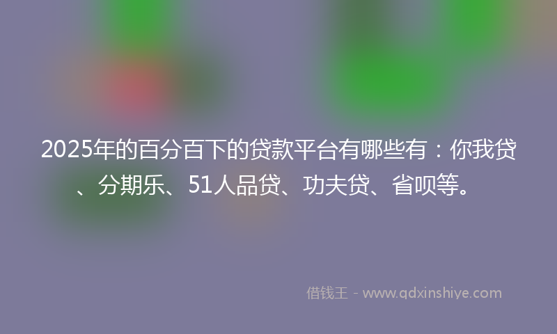 2025年的百分百下的贷款平台有哪些有：你我贷、分期乐、51人品贷、功夫贷、省呗等。
