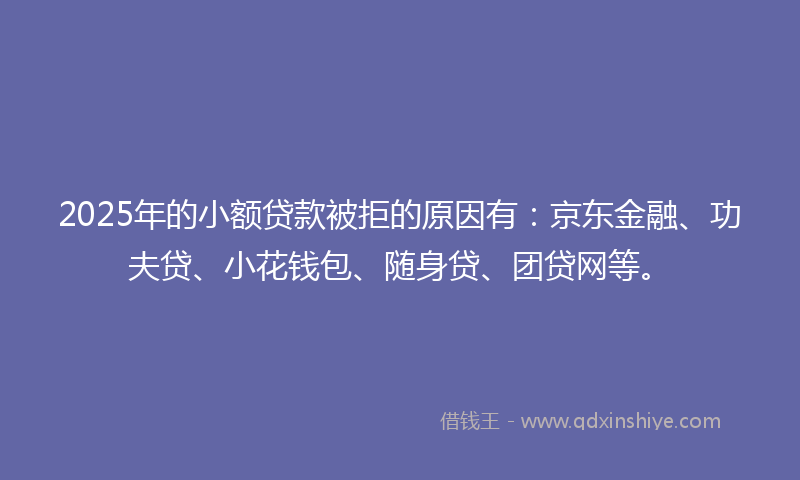 2025年的小额贷款被拒的原因有：京东金融、功夫贷、小花钱包、随身贷、团贷网等。