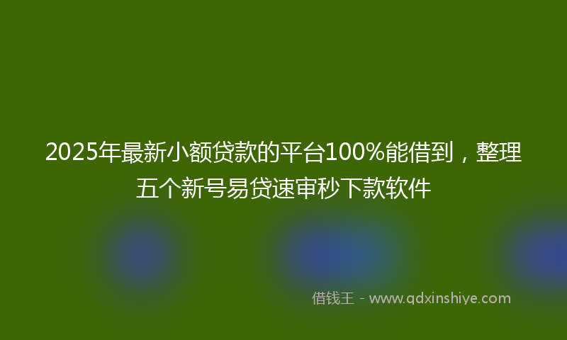 2025年最新小额贷款的平台100%能借到，整理五个新号易贷速审秒下款软件