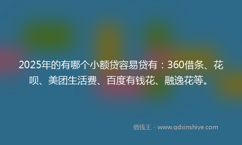 2025年的有哪个小额贷容易贷有：360借条、花呗、美团生活费、百度有钱花、融逸花等。