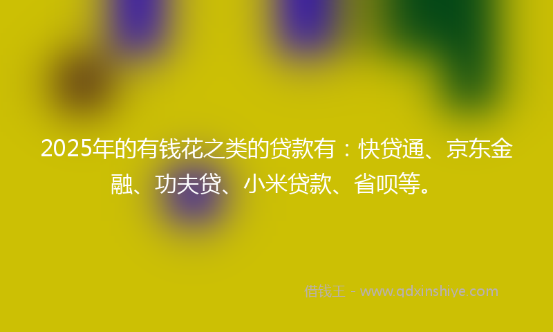2025年的有钱花之类的贷款有：快贷通、京东金融、功夫贷、小米贷款、省呗等。