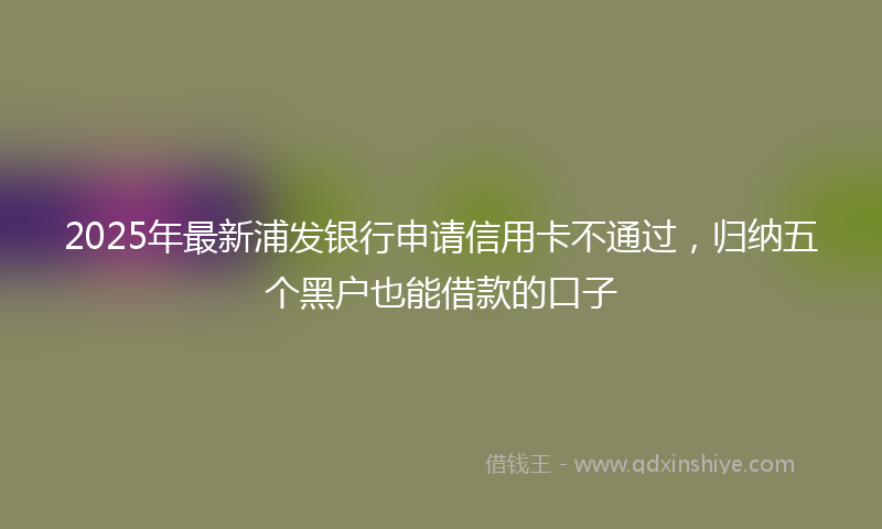 2025年最新浦发银行申请信用卡不通过，归纳五个黑户也能借款的口子