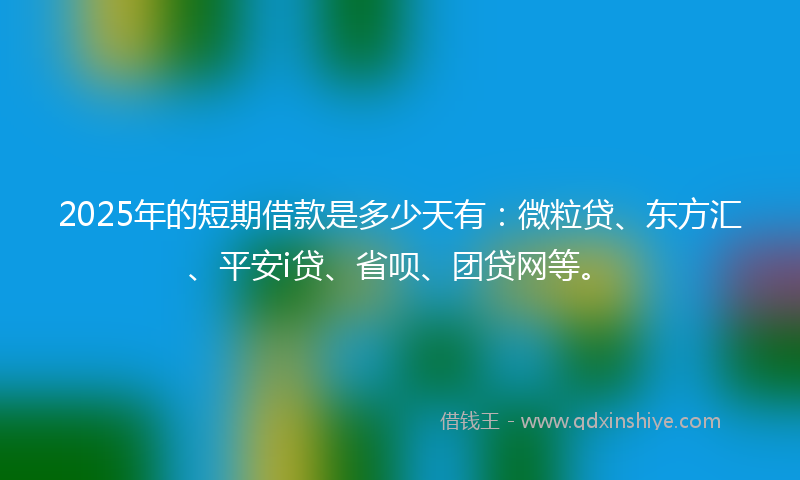 2025年的短期借款是多少天有：微粒贷、东方汇、平安i贷、省呗、团贷网等。