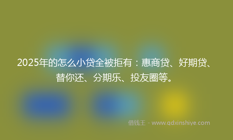2025年的怎么小贷全被拒有：惠商贷、好期贷、替你还、分期乐、投友圈等。