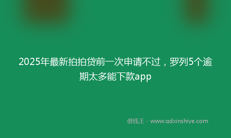 2025年最新拍拍贷前一次申请不过，罗列5个逾期太多能下款app