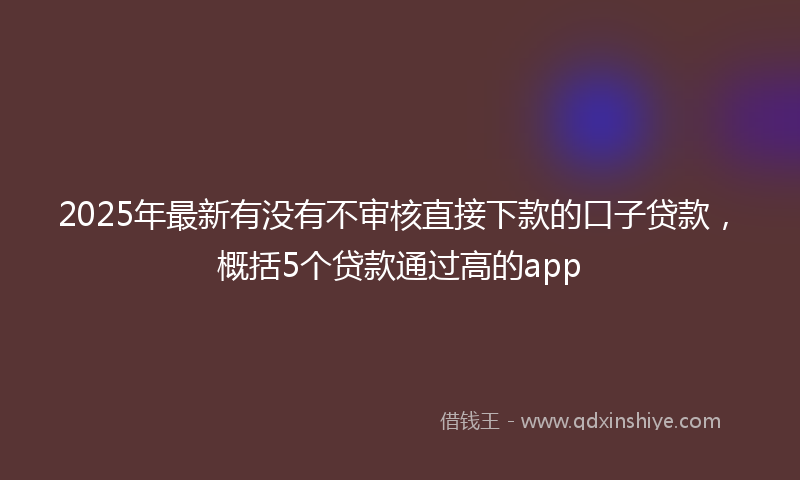 2025年最新有没有不审核直接下款的口子贷款，概括5个贷款通过高的app