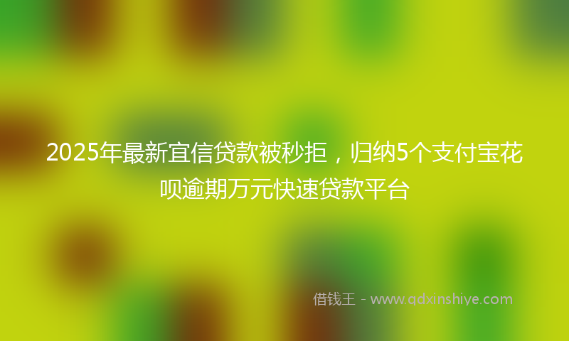 2025年最新宜信贷款被秒拒，归纳5个支付宝花呗逾期万元快速贷款平台