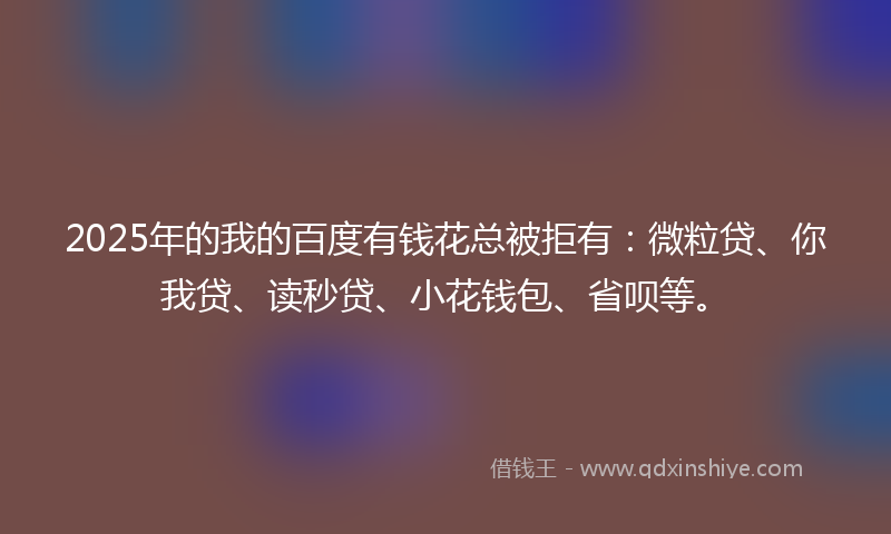 2025年的我的百度有钱花总被拒有：微粒贷、你我贷、读秒贷、小花钱包、省呗等。