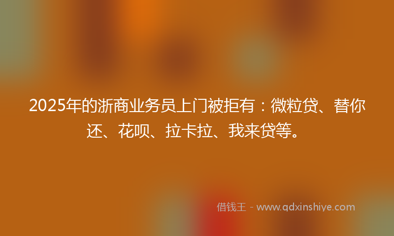 2025年的浙商业务员上门被拒有：微粒贷、替你还、花呗、拉卡拉、我来贷等。
