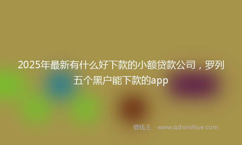 2025年最新有什么好下款的小额贷款公司，罗列五个黑户能下款的app