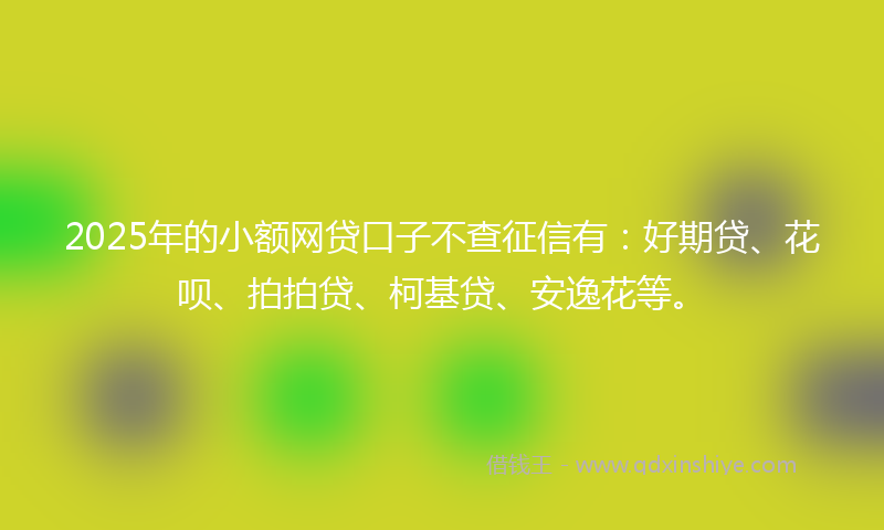 2025年的小额网贷口子不查征信有：好期贷、花呗、拍拍贷、柯基贷、安逸花等。