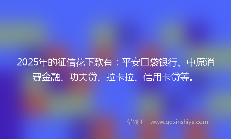 2025年的征信花下款有：平安口袋银行、中原消费金融、功夫贷、拉卡拉、信用卡贷等。