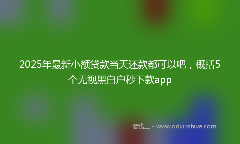 2025年最新小额贷款当天还款都可以吧，概括5个无视黑白户秒下款app