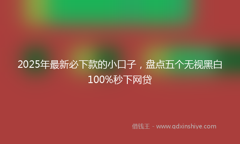 2025年最新必下款的小口子，盘点五个无视黑白100%秒下网贷