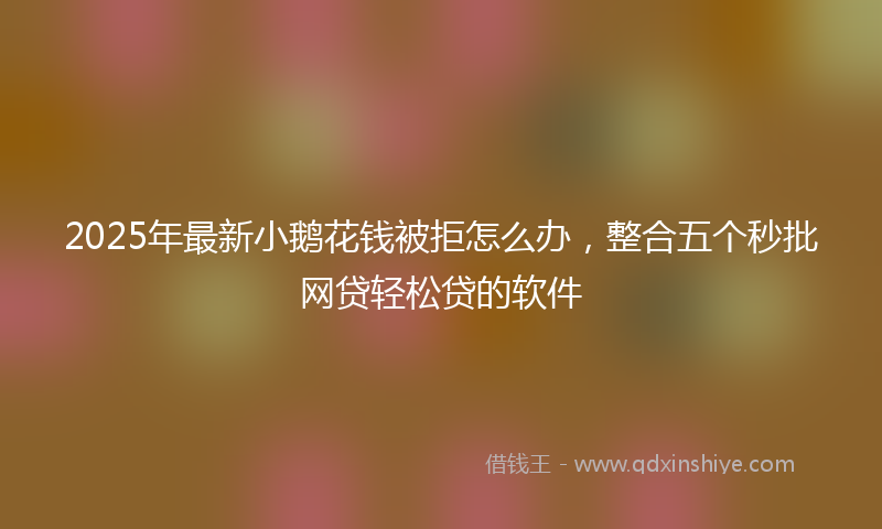 2025年最新小鹅花钱被拒怎么办，整合五个秒批网贷轻松贷的软件