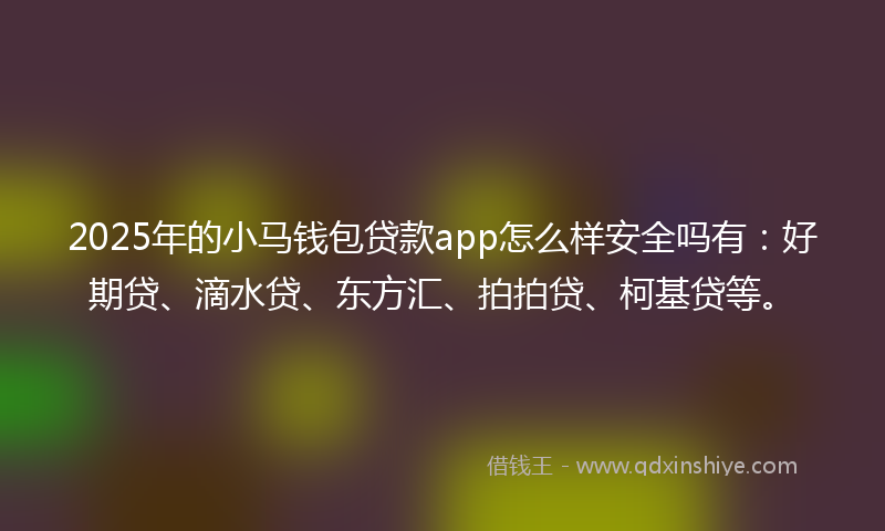 2025年的小马钱包贷款app怎么样安全吗有：好期贷、滴水贷、东方汇、拍拍贷、柯基贷等。