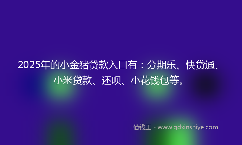 2025年的小金猪贷款入口有：分期乐、快贷通、小米贷款、还呗、小花钱包等。