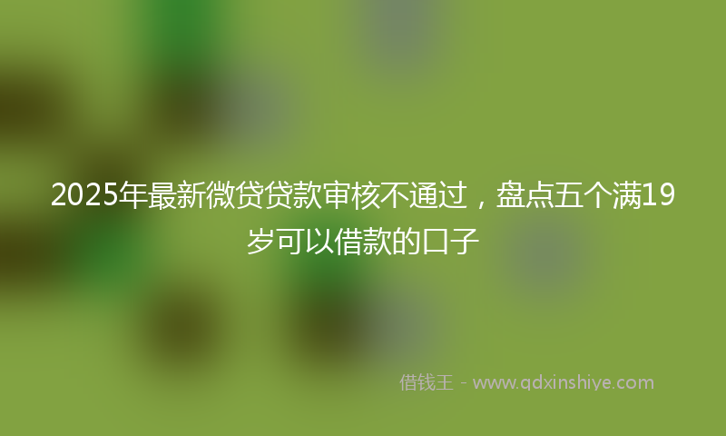 2025年最新微贷贷款审核不通过，盘点五个满19岁可以借款的口子