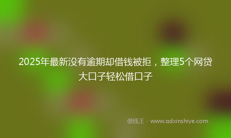 2025年最新没有逾期却借钱被拒，整理5个网贷大口子轻松借口子