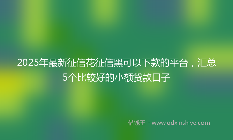 2025年最新征信花征信黑可以下款的平台，汇总5个比较好的小额贷款口子