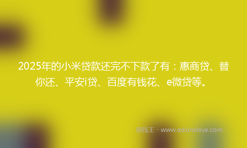 2025年的小米贷款还完不下款了有：惠商贷、替你还、平安i贷、百度有钱花、e微贷等。