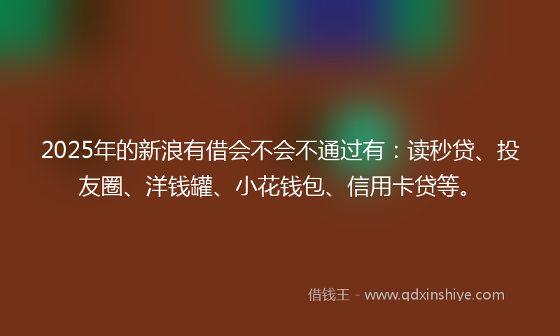 2025年的新浪有借会不会不通过有：读秒贷、投友圈、洋钱罐、小花钱包、信用卡贷等。