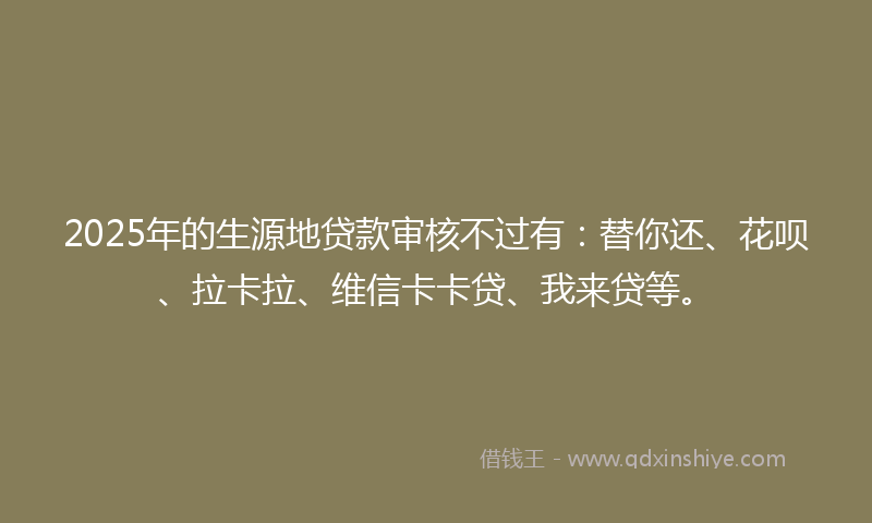 2025年的生源地贷款审核不过有：替你还、花呗、拉卡拉、维信卡卡贷、我来贷等。