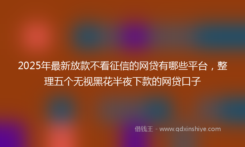 2025年最新放款不看征信的网贷有哪些平台，整理五个无视黑花半夜下款的网贷口子