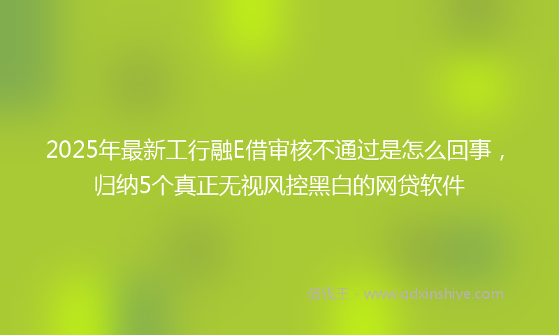 2025年最新工行融E借审核不通过是怎么回事，归纳5个真正无视风控黑白的网贷软件