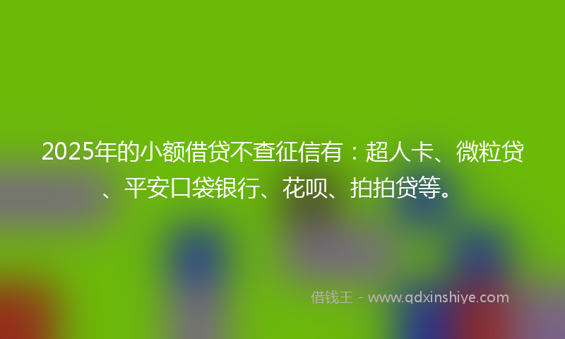 2025年的小额借贷不查征信有：超人卡、微粒贷、平安口袋银行、花呗、拍拍贷等。