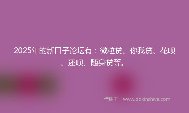 2025年的新口子论坛有：微粒贷、你我贷、花呗、还呗、随身贷等。