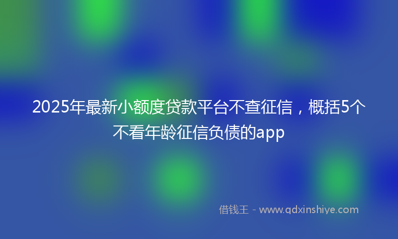 2025年最新小额度贷款平台不查征信，概括5个不看年龄征信负债的app
