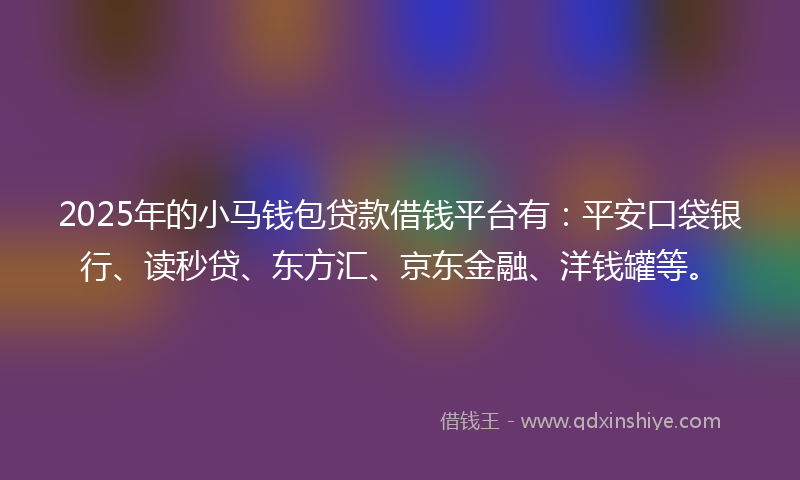 2025年的小马钱包贷款借钱平台有：平安口袋银行、读秒贷、东方汇、京东金融、洋钱罐等。