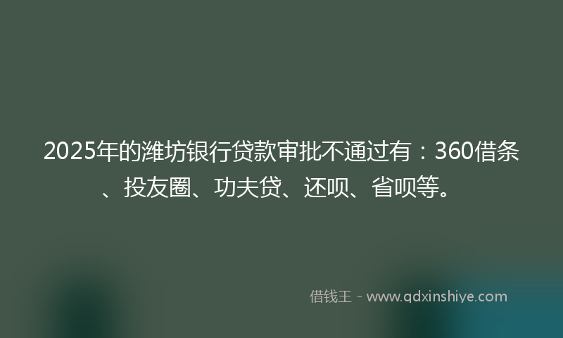 2025年的潍坊银行贷款审批不通过有：360借条、投友圈、功夫贷、还呗、省呗等。
