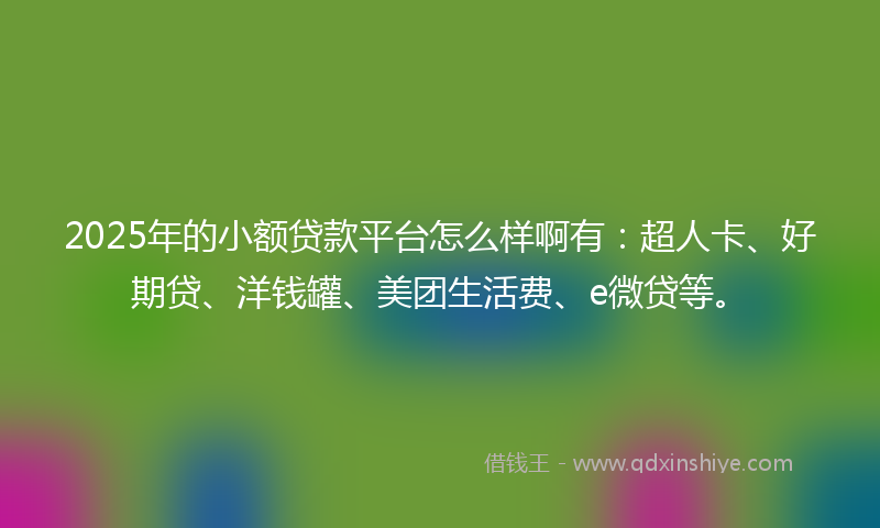 2025年的小额贷款平台怎么样啊有：超人卡、好期贷、洋钱罐、美团生活费、e微贷等。