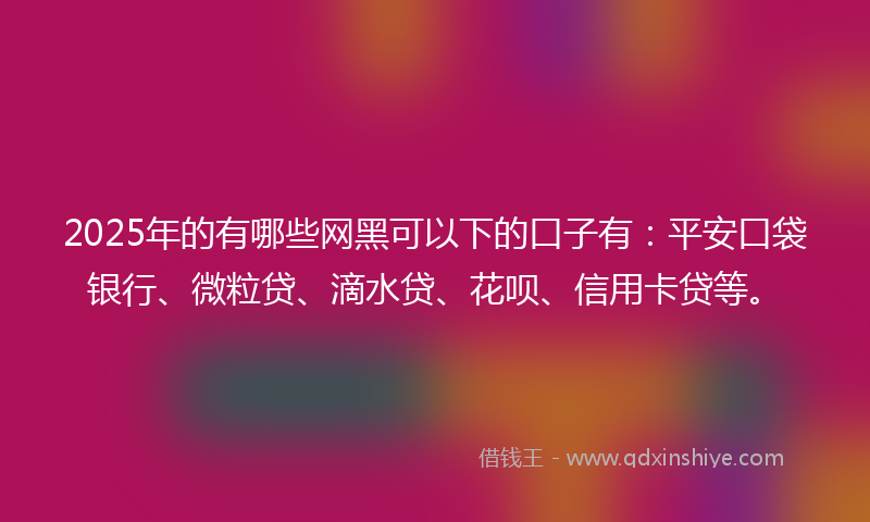 2025年的有哪些网黑可以下的口子有：平安口袋银行、微粒贷、滴水贷、花呗、信用卡贷等。