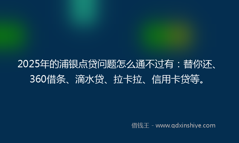 2025年的浦银点贷问题怎么通不过有：替你还、360借条、滴水贷、拉卡拉、信用卡贷等。