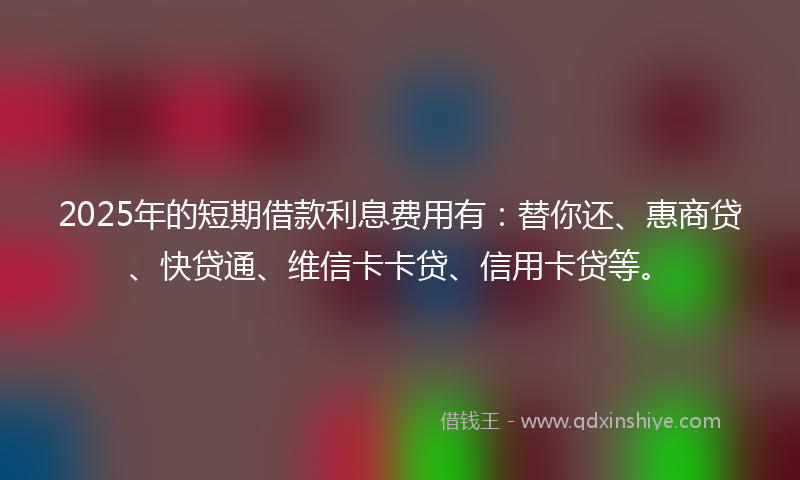 2025年的短期借款利息费用有：替你还、惠商贷、快贷通、维信卡卡贷、信用卡贷等。