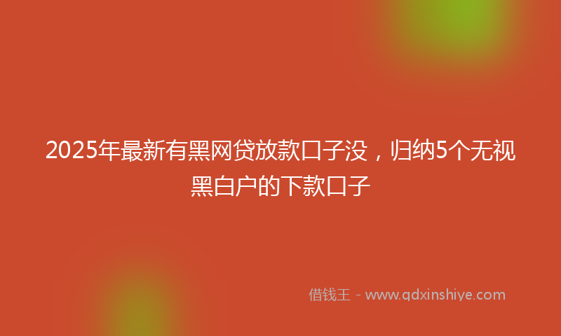 2025年最新有黑网贷放款口子没，归纳5个无视黑白户的下款口子