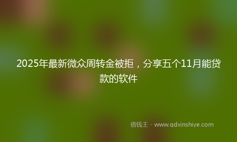 2025年最新微众周转金被拒，分享五个11月能贷款的软件
