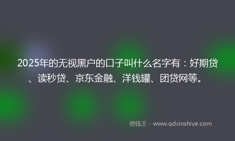 2025年的无视黑户的口子叫什么名字有：好期贷、读秒贷、京东金融、洋钱罐、团贷网等。