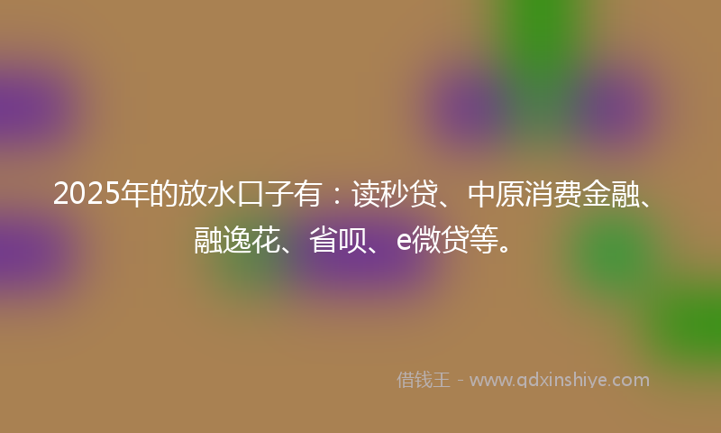 2025年的放水口子有：读秒贷、中原消费金融、融逸花、省呗、e微贷等。
