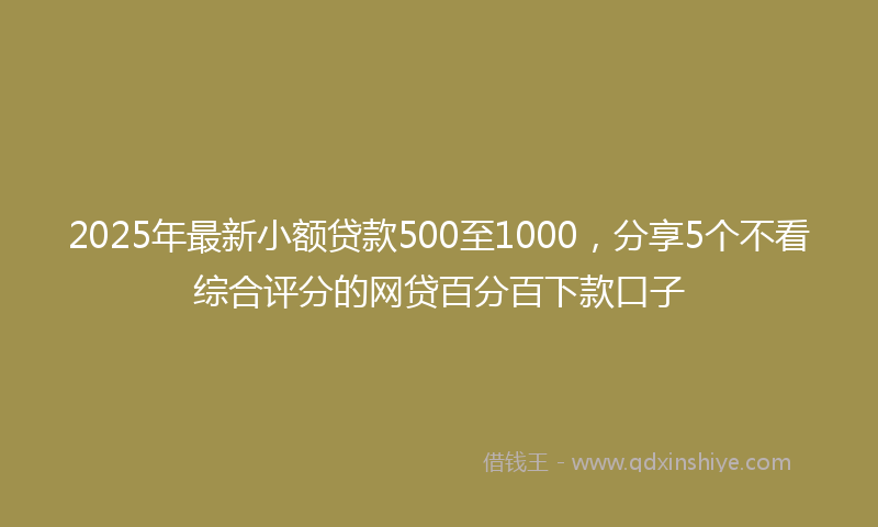 2025年最新小额贷款500至1000，分享5个不看综合评分的网贷百分百下款口子