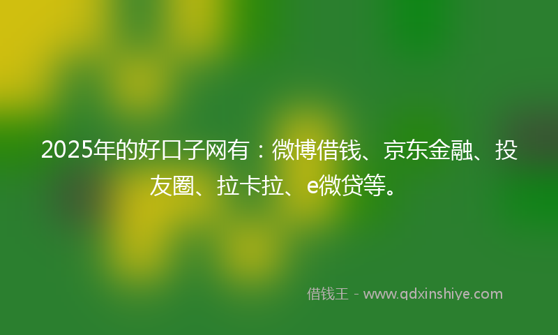 2025年的好口子网有：微博借钱、京东金融、投友圈、拉卡拉、e微贷等。
