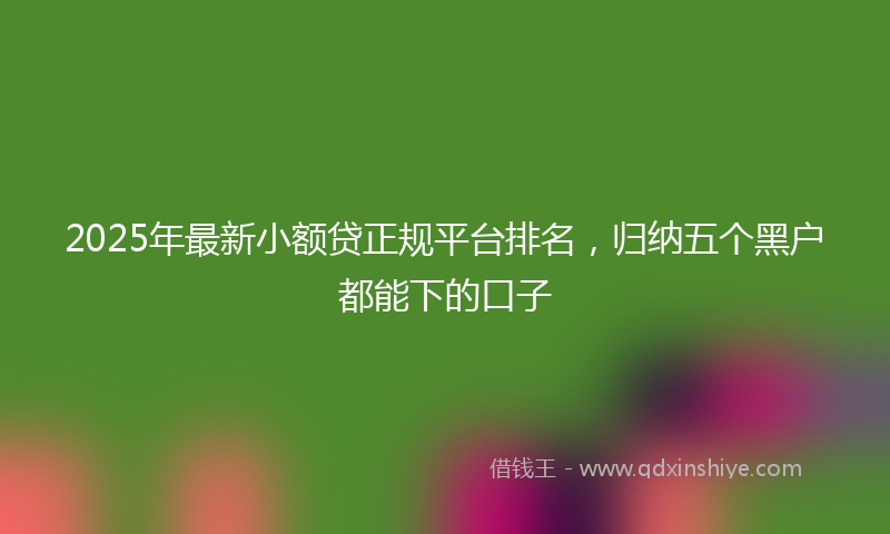 2025年最新小额贷正规平台排名，归纳五个黑户都能下的口子